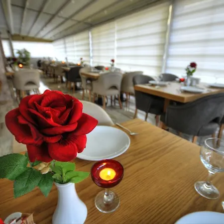 酒店 金色豪华酒店 阿达纳