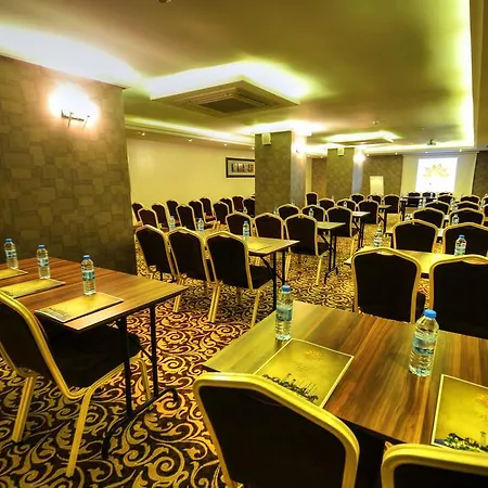 酒店 金色豪华酒店 4*